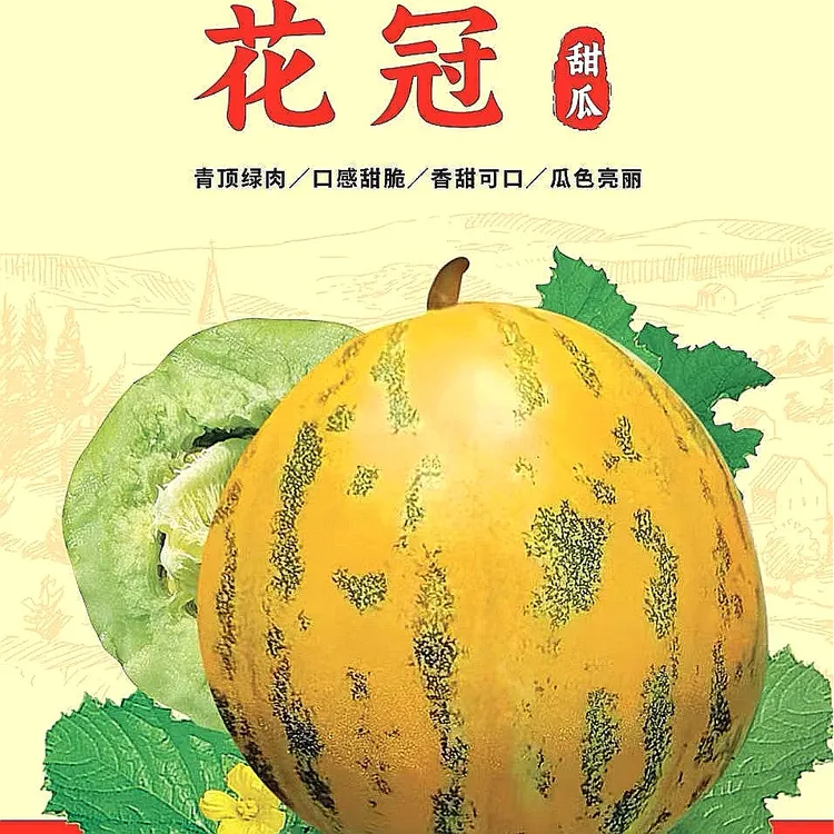 精品【 花冠 】优质花皮八里香甜瓜种子（2000粒/袋）