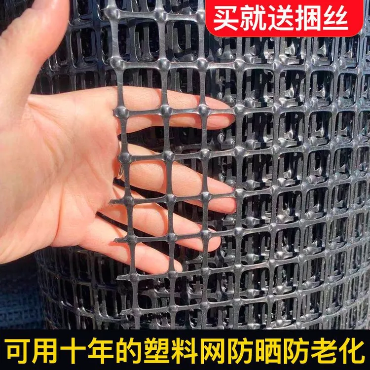 加厚塑料围栏网养殖专用网养鸡养鸭防护网隔离网动物漏粪网玉米网