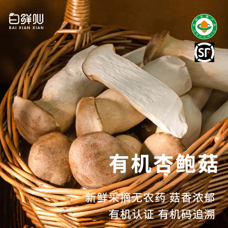 有机杏鲍菇新鲜食用菌菌菇蔬菜鸡腿菇蘑菇肉厚鲜嫩烹饪煲汤