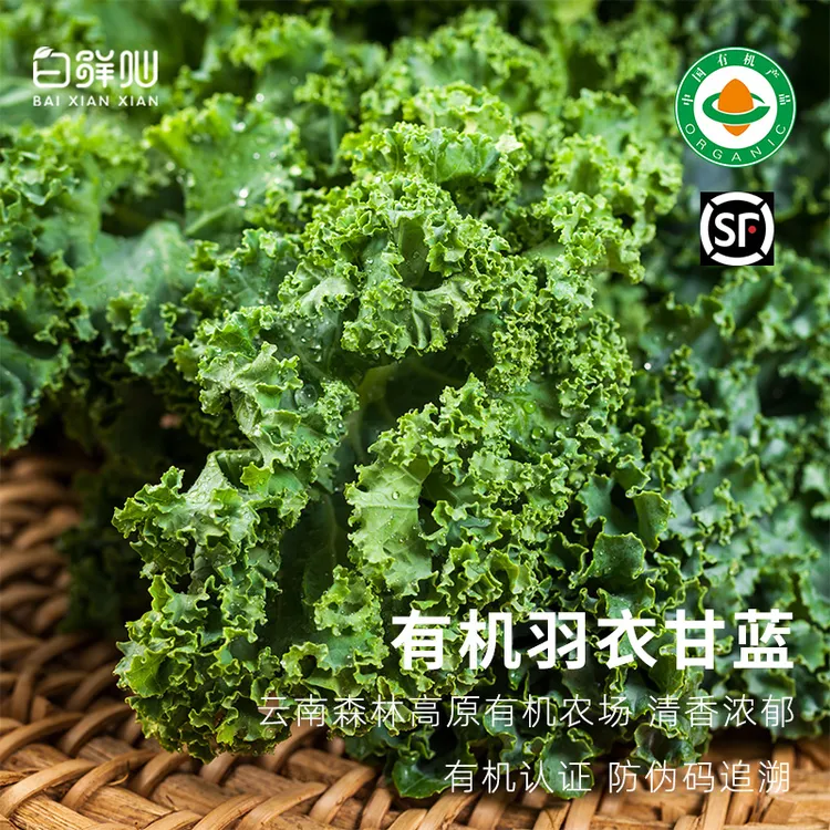 有机羽衣甘蓝新鲜榨汁有机蔬菜现摘现发云南健身沙拉菜现摘1斤