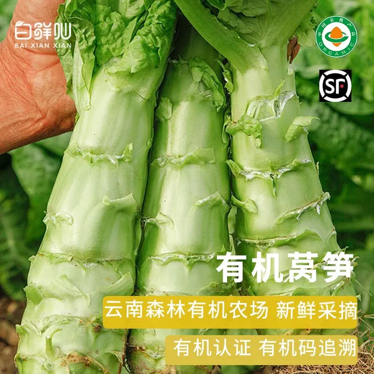有机莴笋云南紫叶青笋莴苣笋真正纯有机蔬菜新鲜配送到家顺丰3斤