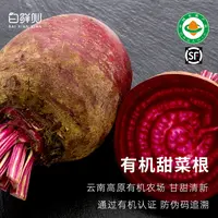 有机甜菜根新鲜甜菜头红菜头榨汁现挖云南蔬菜产地直发直销顺丰
