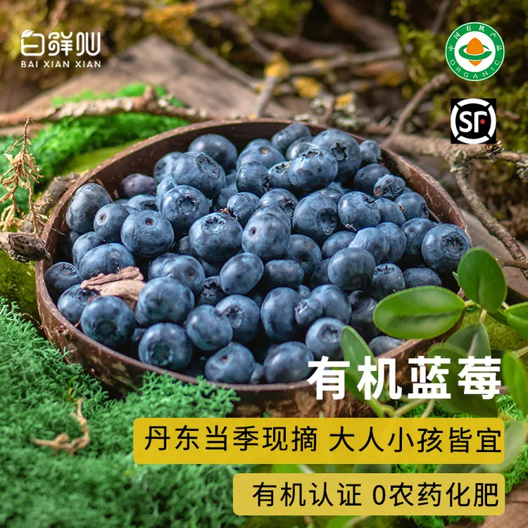 有机蓝莓新鲜采摘孕妇宝宝当季无农残即食有机水果顺丰航空包邮