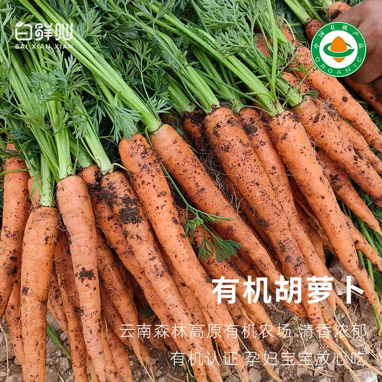 有机胡萝卜云南生吃富硒产地直销辅食细长真正纯蔬菜新鲜不带樱