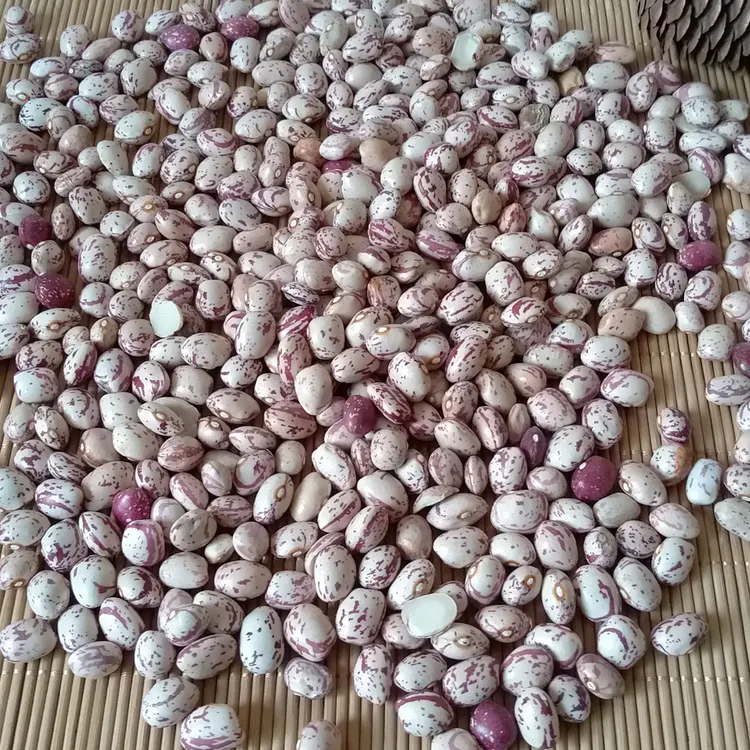 雀蛋豆熊猫豆新货批发新雀蛋豆奶花芸豆花豇豆饭豆豆类杂粮粗粮