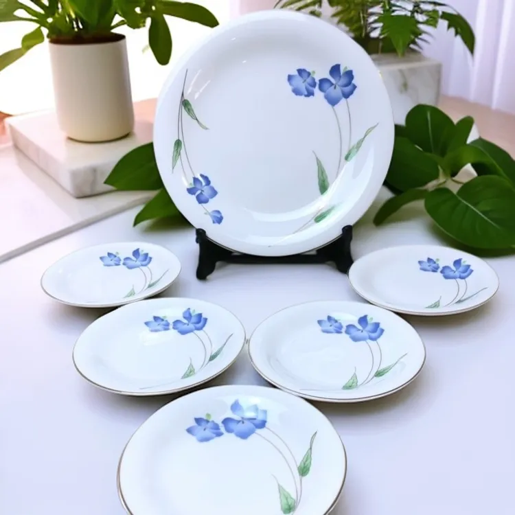 日本库山窑骨瓷描金花纹重金口盘一大五小原盒，瓷质细腻，美观大气