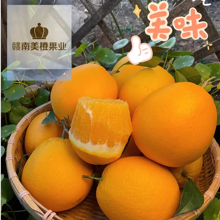 赣南脐橙10斤装精品果 橙香浓郁爆汁橙味自然阳光