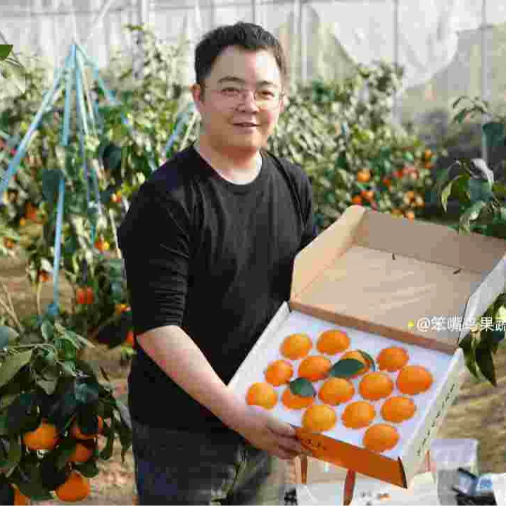 象山红美人15个装柑橘手剥橙孕妇整箱爆甜多汁皮薄肉厚汁水多