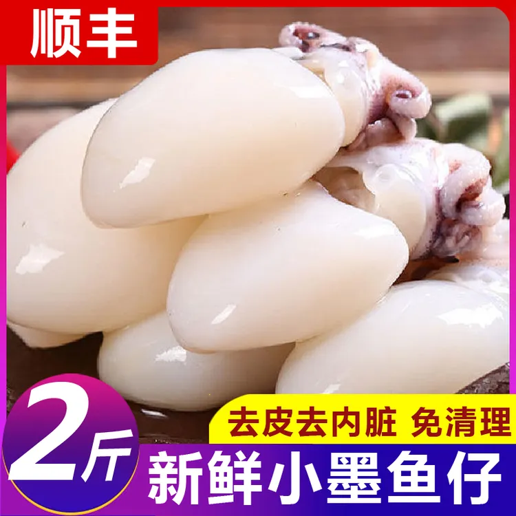 新鲜墨鱼仔生鲜冷冻目鱼仔小墨鱼捞汁海鲜鲜活墨斗鱼批小鱿鱼海鲜