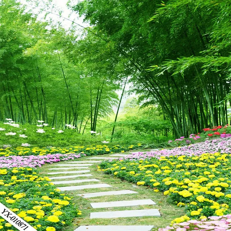 主播3d山水田园外景快手网红背景布用yy直播晚上背景墙视频直播间