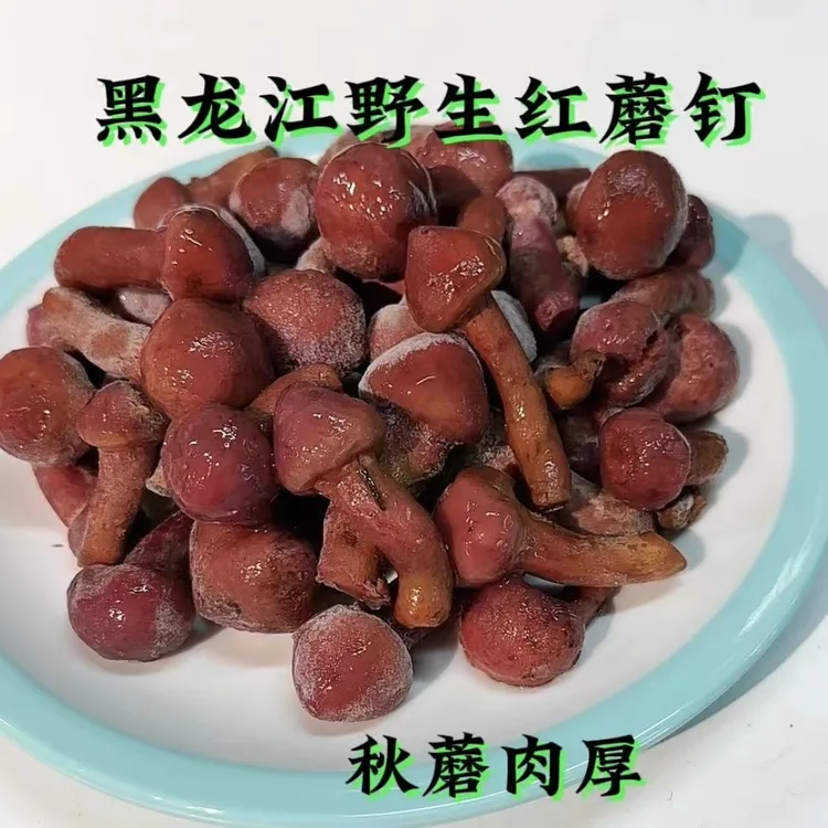 黑龙江松树林纯野生速冻鲜红蘑500g东北新鲜红松伞也叫肉蘑