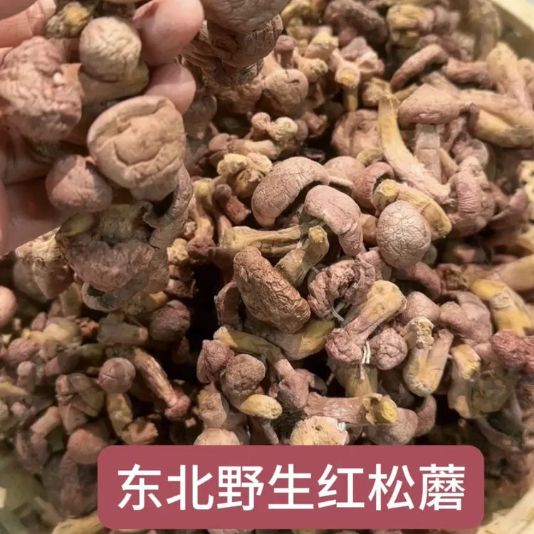 ［东北特产］野生红蘑自然穿串晒干肉蘑松伞蘑小鸡炖250g干货