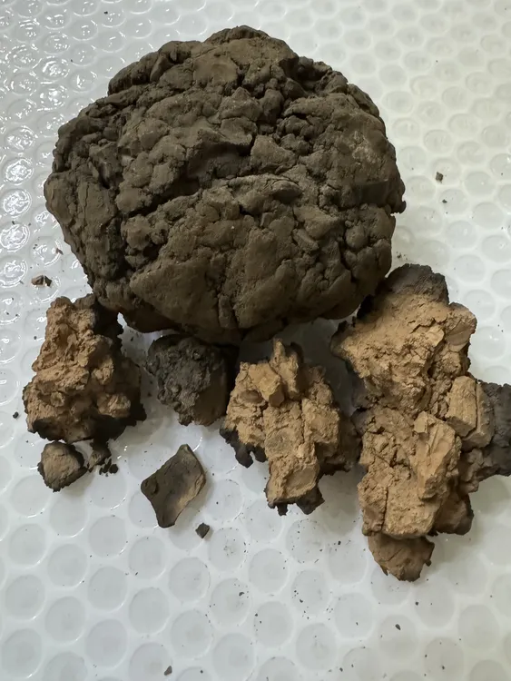 网红土 胶可酥 胶泥颗粒
