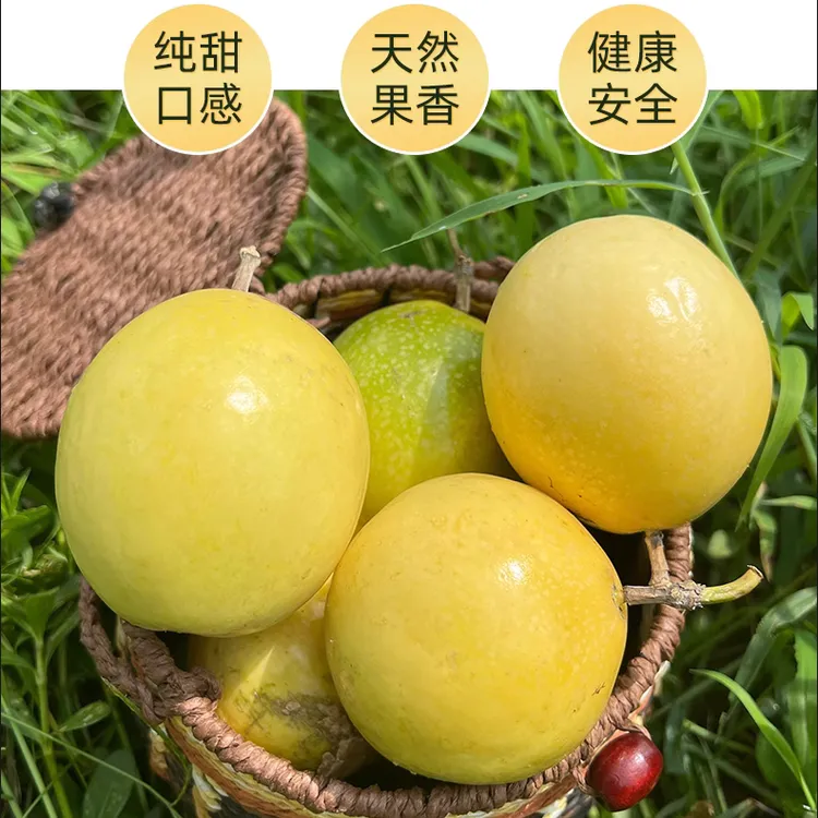 福建武平象洞钦蜜9号黄金百香果头茬水果纯甜大果新鲜现摘