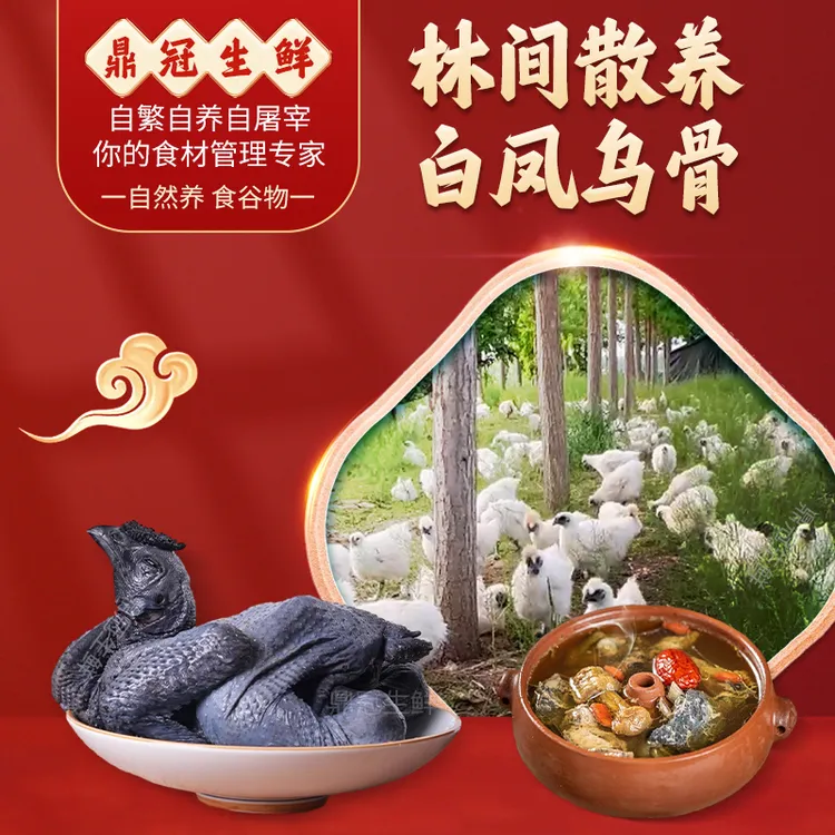 4只乌鸡 净膛净重7斤 散养白凤乌鸡 当天现杀 顺丰送到家