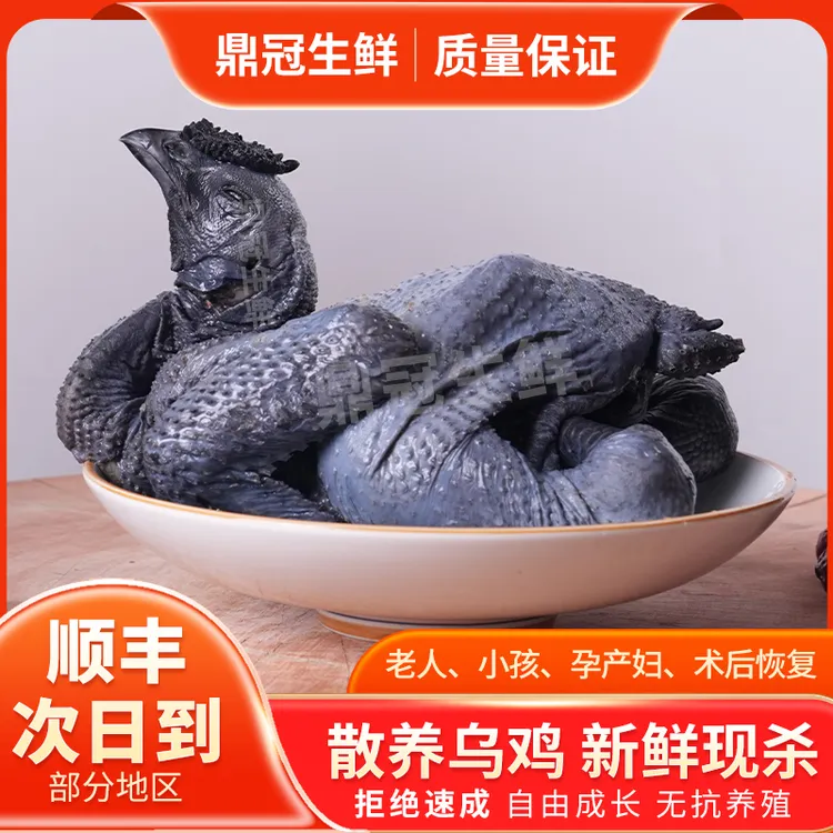 源头农场园林散养白凤乌鸡•乌骨鸡•当天现杀•冷链运输•保鲜送到家