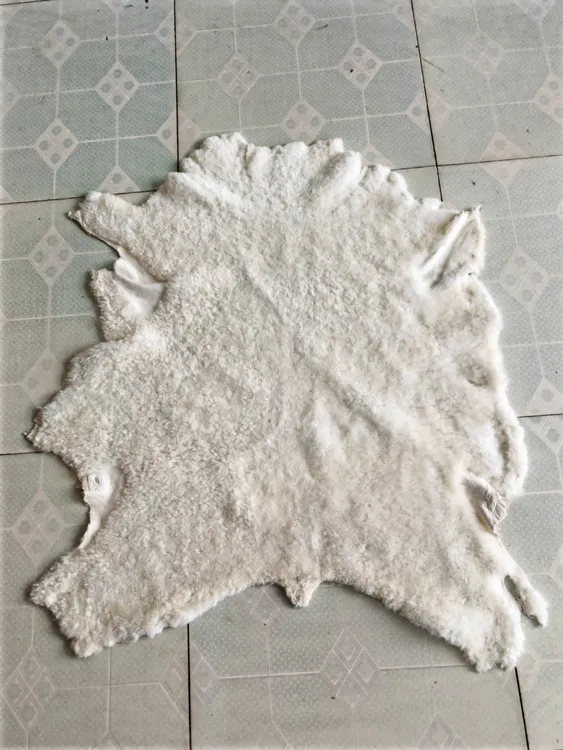 整张羊皮真羊毛一体坐垫皮型地毯沙发垫椅垫毯子真皮汽车坐垫装饰