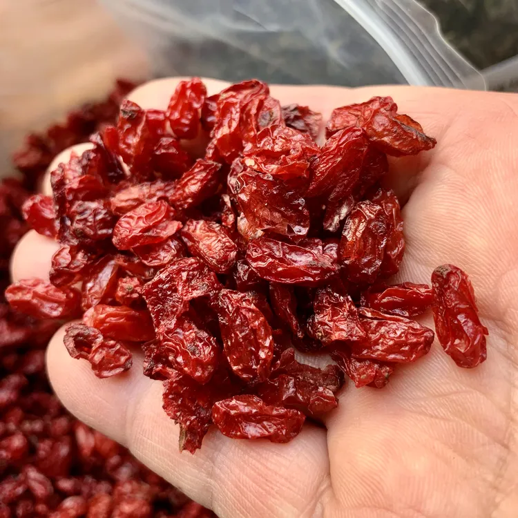 山茱萸西峡野生枣皮山萸肉去核包邮特产100克/250克精品滋补泡茶