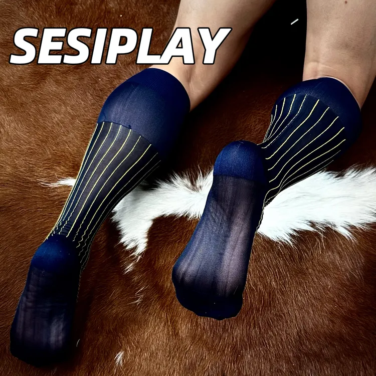 SESIPLAY福尔摩斯袜 梵高 男士绅装丝袜锦纶商务正装中长筒丝袜