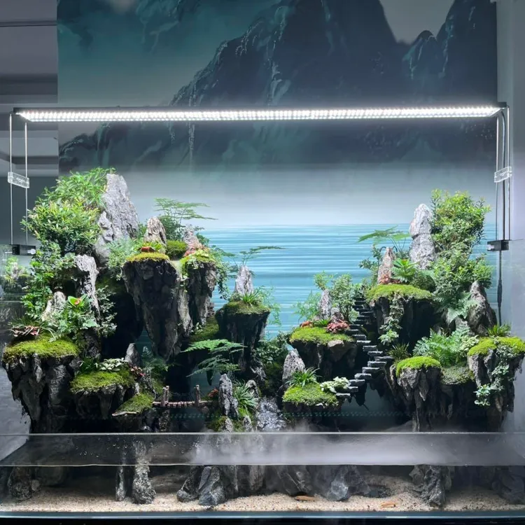 水陆缸生态景观缸成品生态鱼缸