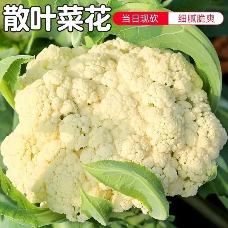 【京东冷链】农家妈妈现摘现发3斤新鲜花菜青梗松菜花散花椰菜当季