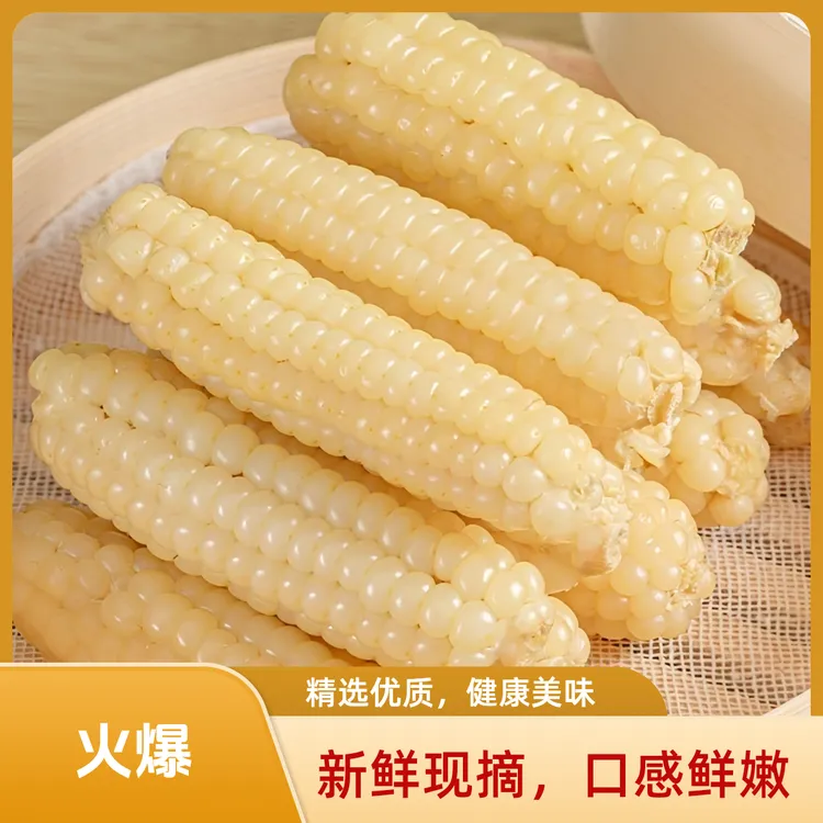 西双版纳香糯小拇指玉米手指玉米儿童宝宝小玉米加热即食早餐代餐