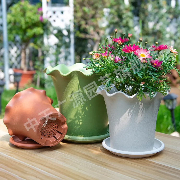 中天广源高荷叶边仿陶质树脂加厚花盆抗热抗摔抗晒有利于植物生长商品图