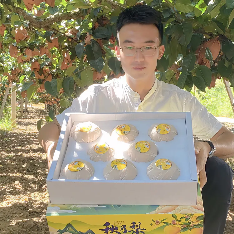 【正宗秋月梨】山东莱阳秋月梨4.5/7.5斤装脆甜多汁梨园现摘现发 