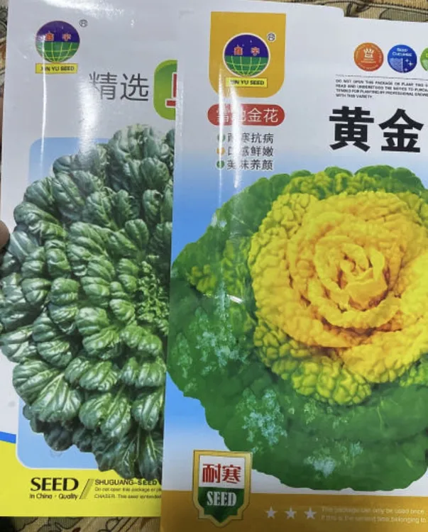 乌塌菜菜籽（种籽）