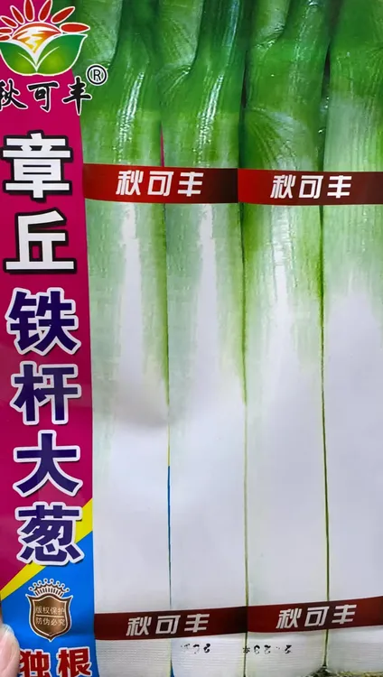 章丘铁杆大葱（种籽）