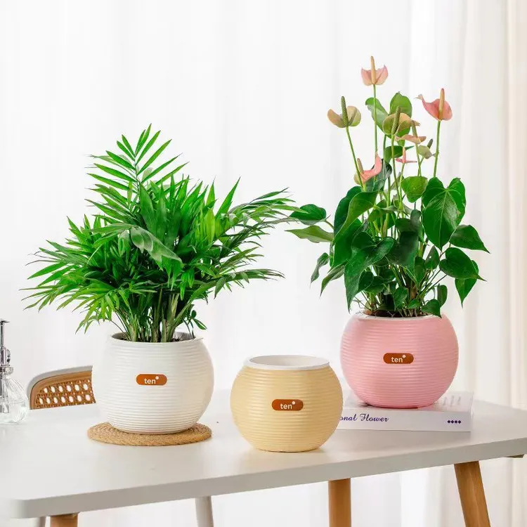 网红加厚树脂水培圆形立体桌面花盆懒人自动吸水花盆塑料土培套盆