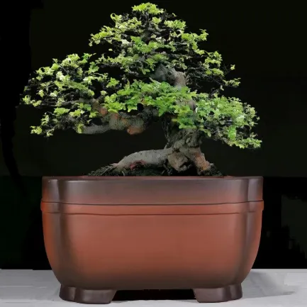 宜兴紫砂花盆60公分大口径仿古四方盆景盆高档精品盆栽造景盆古典