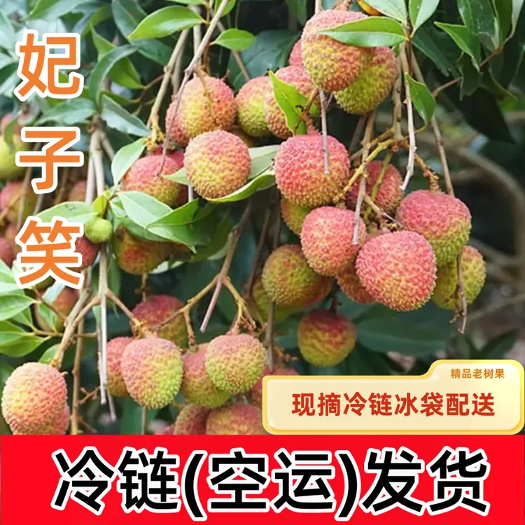 【冷链航空】顺丰京东广东荔枝妃子笑小核多汁现摘头茬果桂味糯米糍
