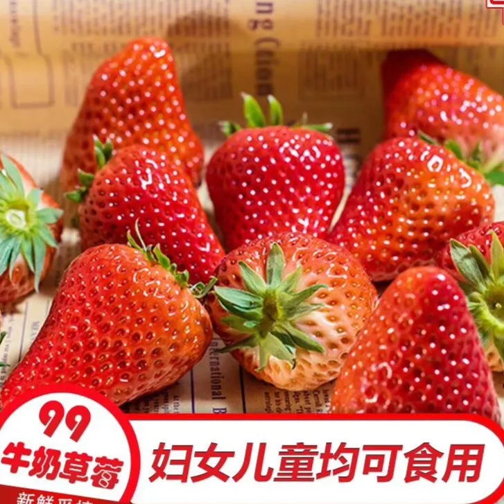 【果王】单果40-55g丹东99草莓个头超大草莓牛奶大甜孕妇九久久顺丰