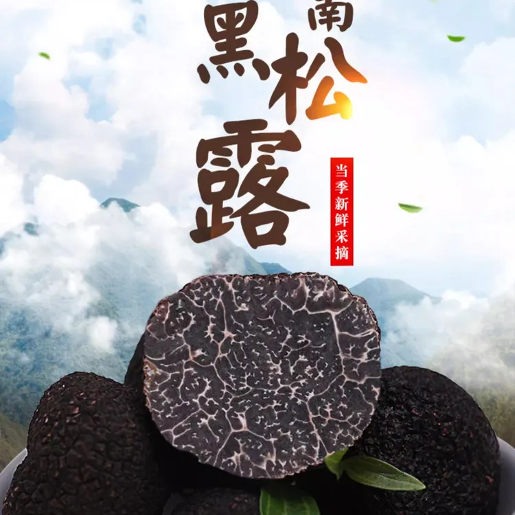 黑松露菌新鲜冷冻野生成熟松露云南特产高黎贡山猪拱菌3-5cm500g