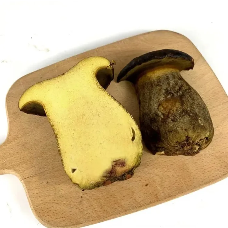 新鲜黑牛肝菌云南特产新鲜牛肝菌食用菌菇炒菜煲汤火锅食材1kg