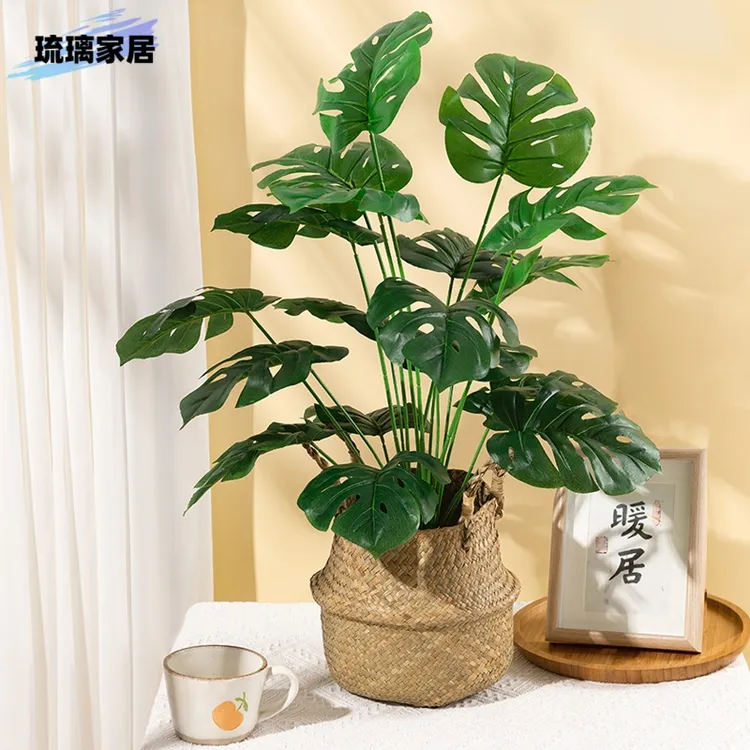仿真北欧龟背家居小盆栽仿生植物办公室落地桌面摆件橱窗装饰造景