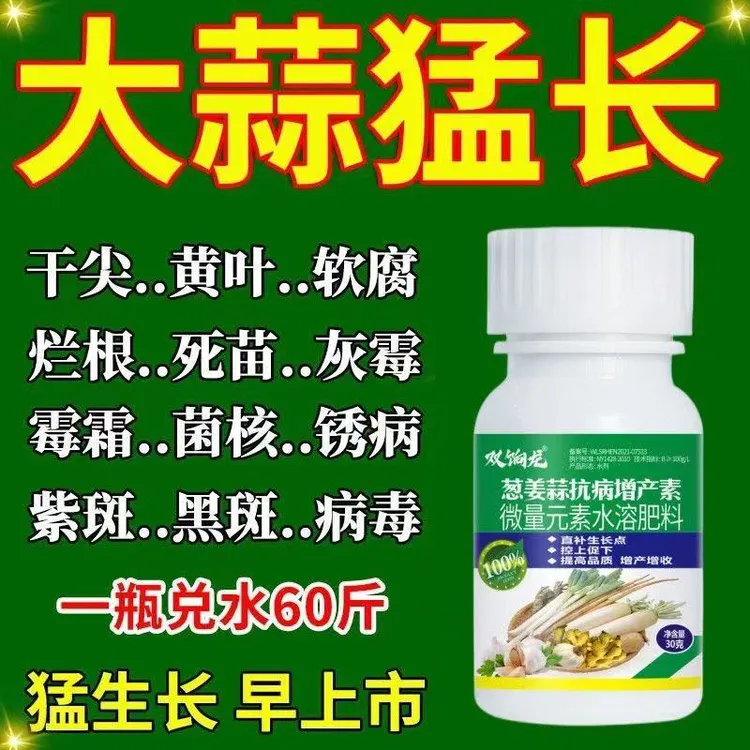 【大蒜猛长大】蒜苗专用微生物肥料大蒜病全治黄叶软腐白粉锈
