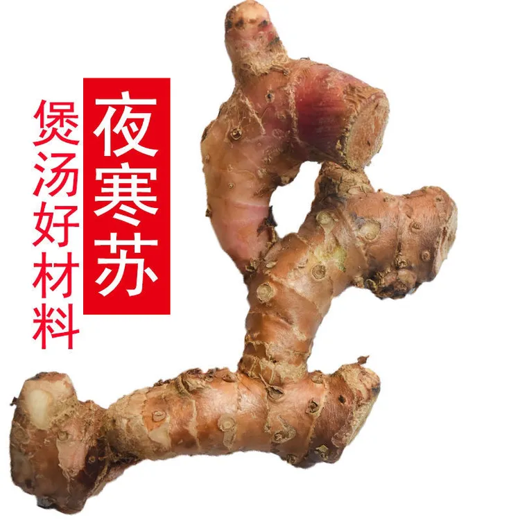 夜寒苏野生贵州大姜路边姜大姜花草果花土姜山姜煲汤食材