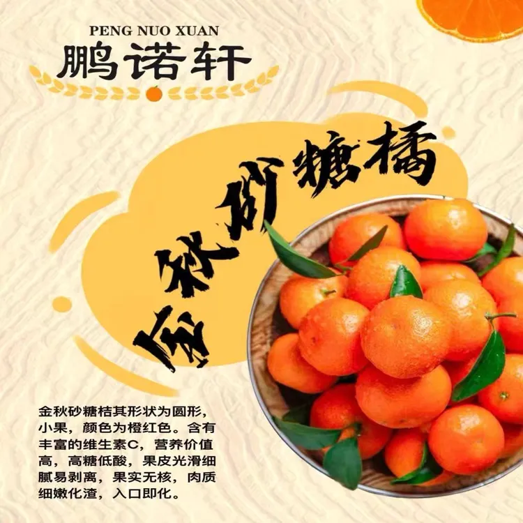 正宗当季新鲜金秋砂糖桔柑橘皮薄果肉细嫩甜度高入口化渣