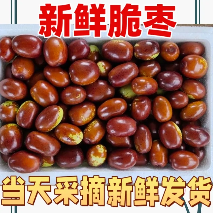 （现发）枣子大红枣鸡心枣红枣脆甜现枣蒸着吃新鲜水果非冬枣灵武枣