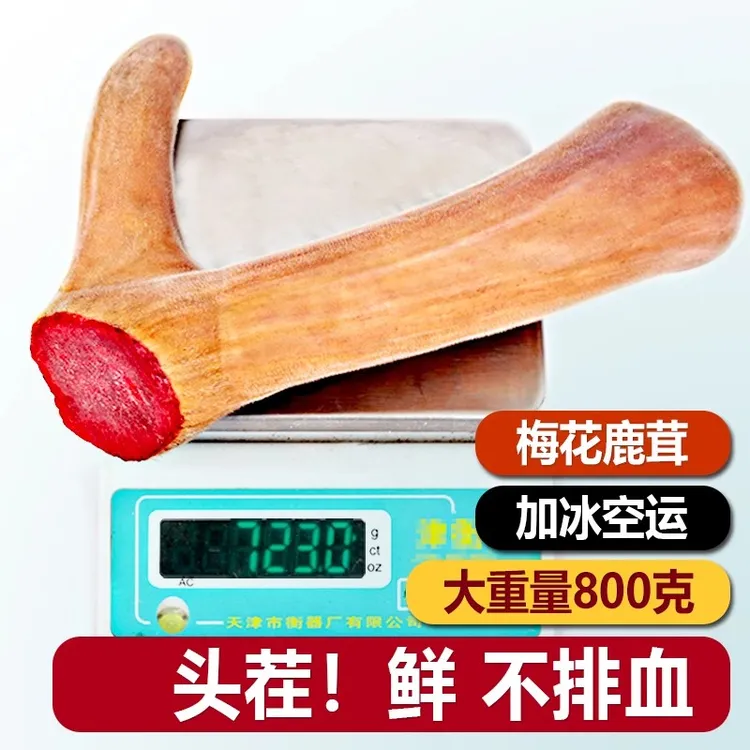梅花鲜鹿茸整根新鲜带血鹿茸中药材人参正品整支片泡酒药材