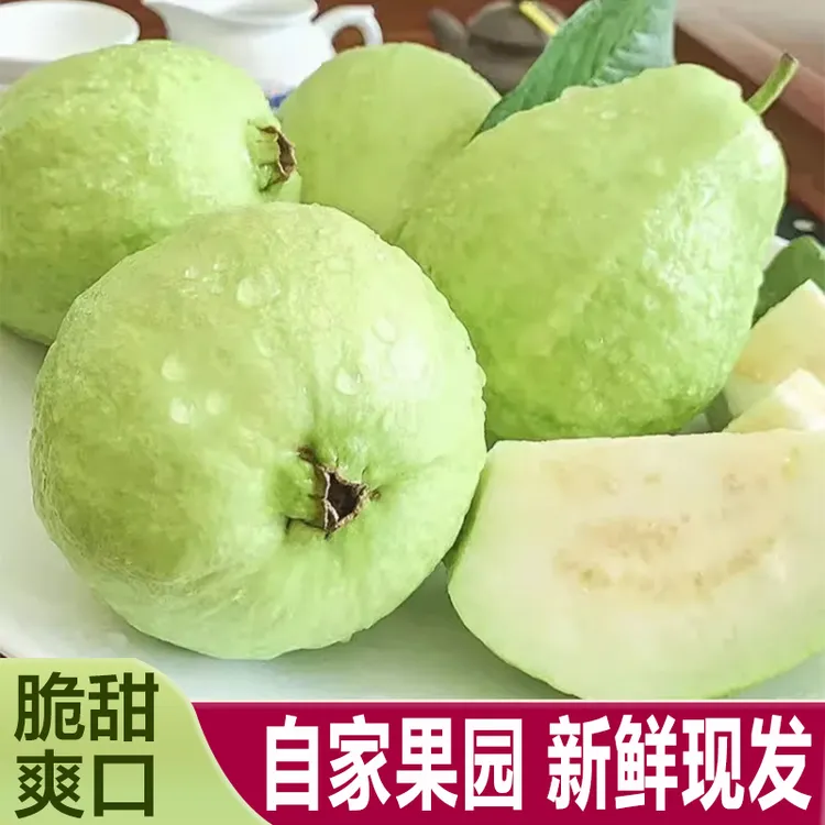 广西奶油白心芭乐番石榴3新鲜孕妇现摘现发白肉脆甜当季水果包邮5