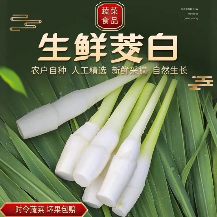 浙江源头茭白当季时令新鲜蔬菜农家食用高笋现摘带壳发货鲜美特色