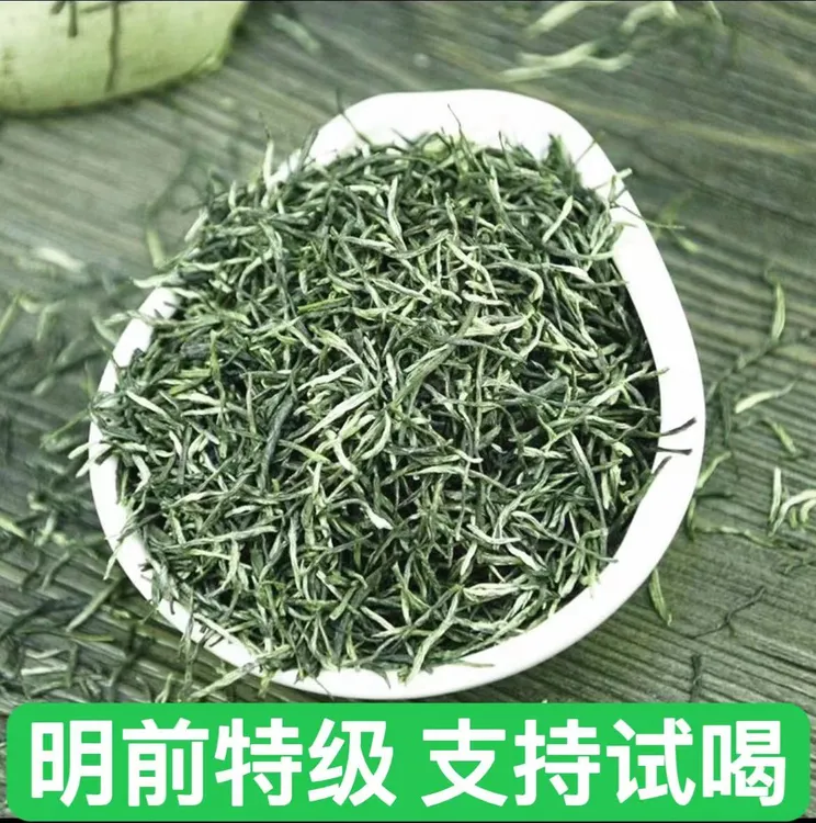 2025【明前毛尖】特级茶新茶手工茶叶直毛峰浓香型蒙顶绿茶自产自销