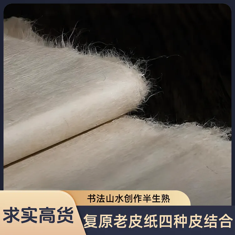 国画美术专用宣纸蛮笺皮纸半生半熟山水小楷书法用品