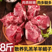 散养乳羔羊羊蝎子8斤羊蝎子火锅清炖红烧煲汤食材