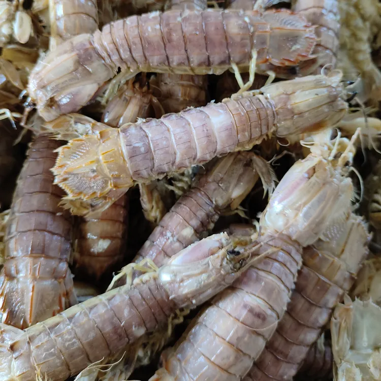 渤海湾刚下船琵琶虾5斤（有咸味）