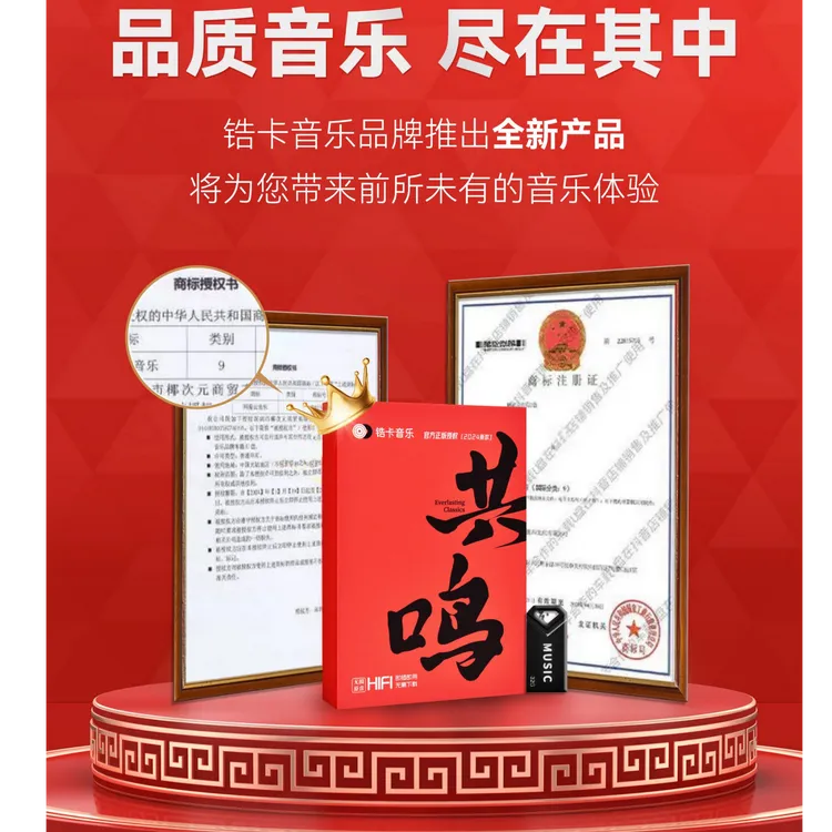 共鸣音乐U盘无损音乐音质车载u盘2025无损音乐U盘