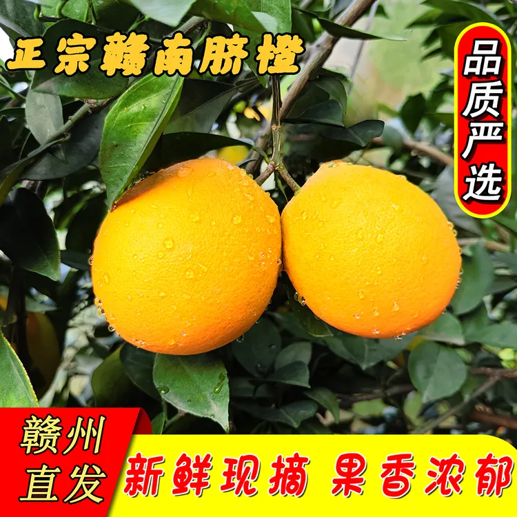 正宗江西赣南脐橙孕妇儿童水果手剥甜橙现采现发整箱新鲜汁水饱满